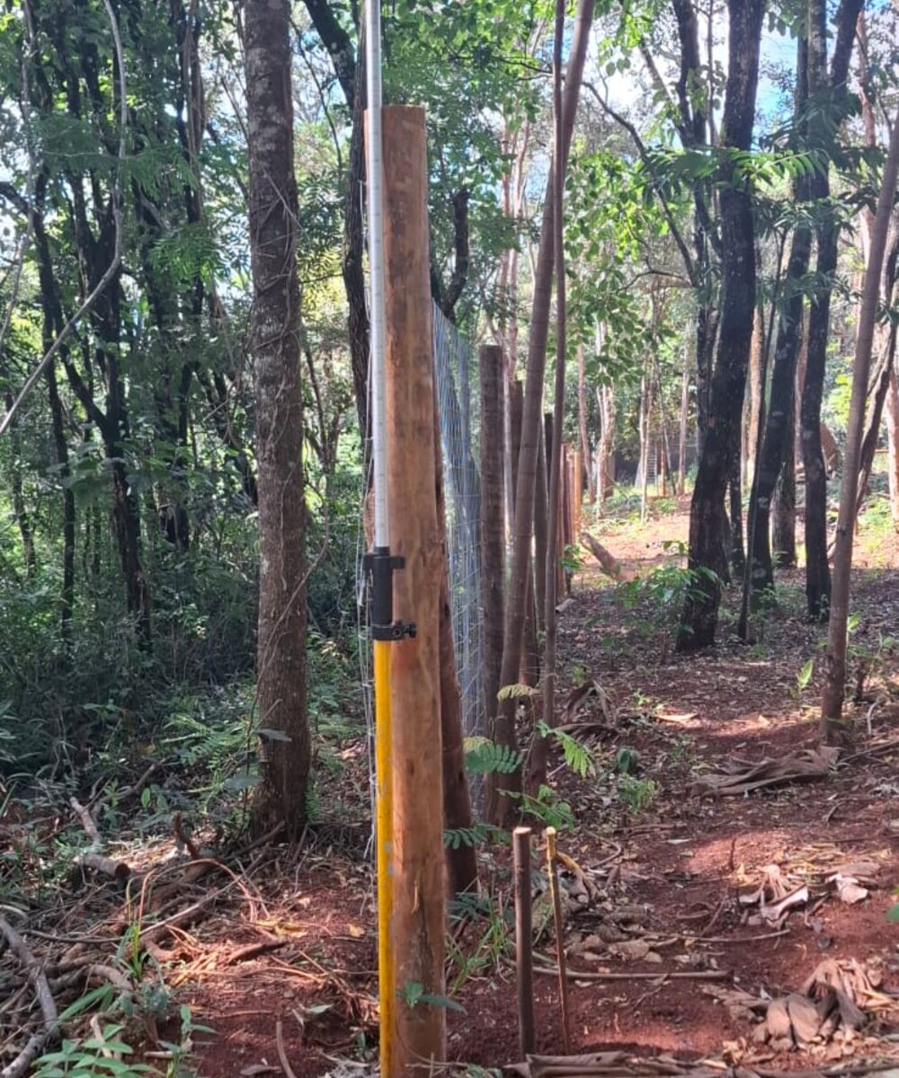 Levantamento GNSS em área de vegetação